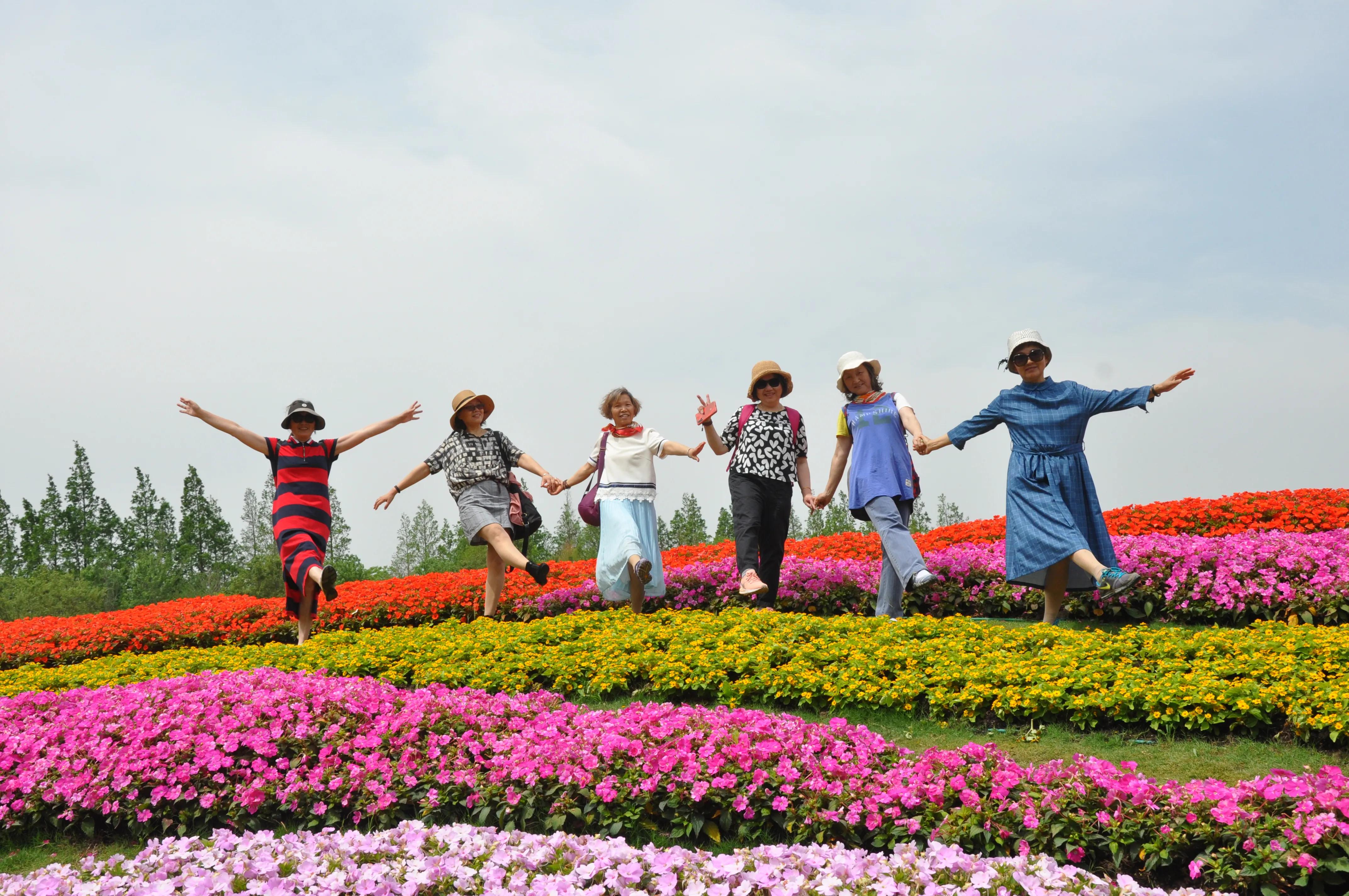 漳州东南花都花博会巡游,花博会花神巡游打卡