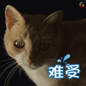 为啥过敏性鼻炎十几天了一直不好,过敏性鼻炎的科普小视频