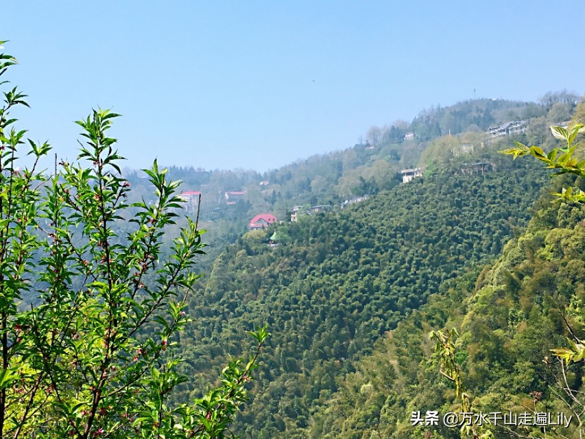 浙江湖州避暑度假村别墅,浙江湖州避暑胜地