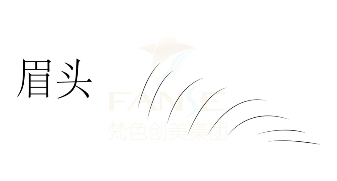 梵娅纹眉视频教程全集,丝雾眉标准眉画法