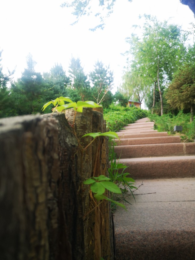 辛弃疾写给千百度的诗,辛弃疾最美情诗静夜思