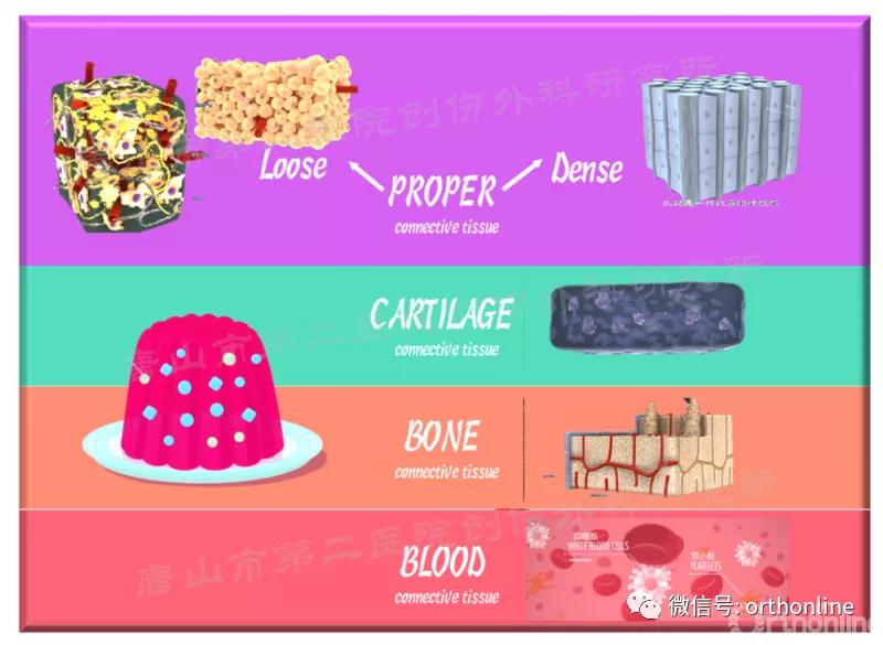 手部肌腱不完全断裂能完全复原吗,手部屈指肌腱损伤最难处理的部位