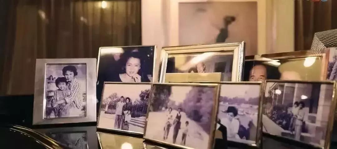 老佛爷的猫继承多少遗产,老佛爷去世了猫继承了多少遗产