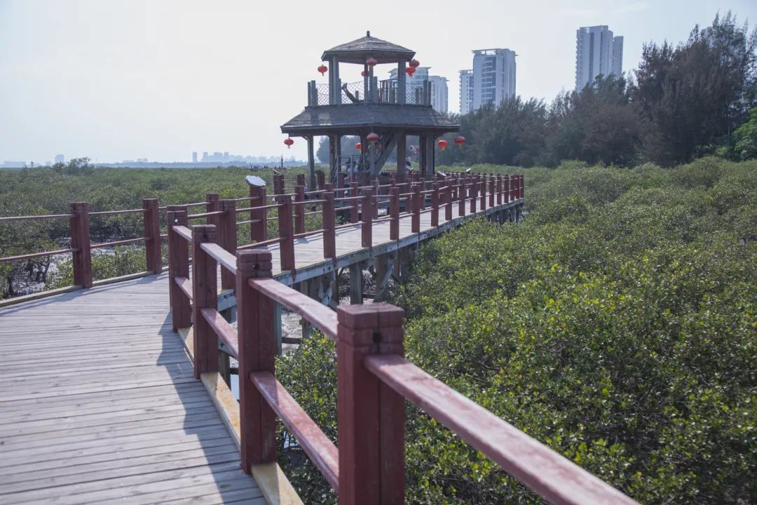 银海风景,银海美景