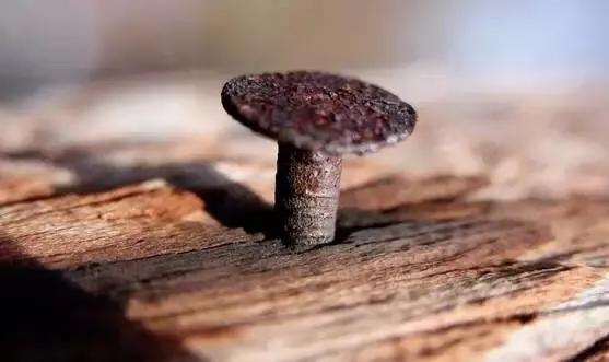 老挝大红酸枝造假,大红酸枝都用什么木头造假