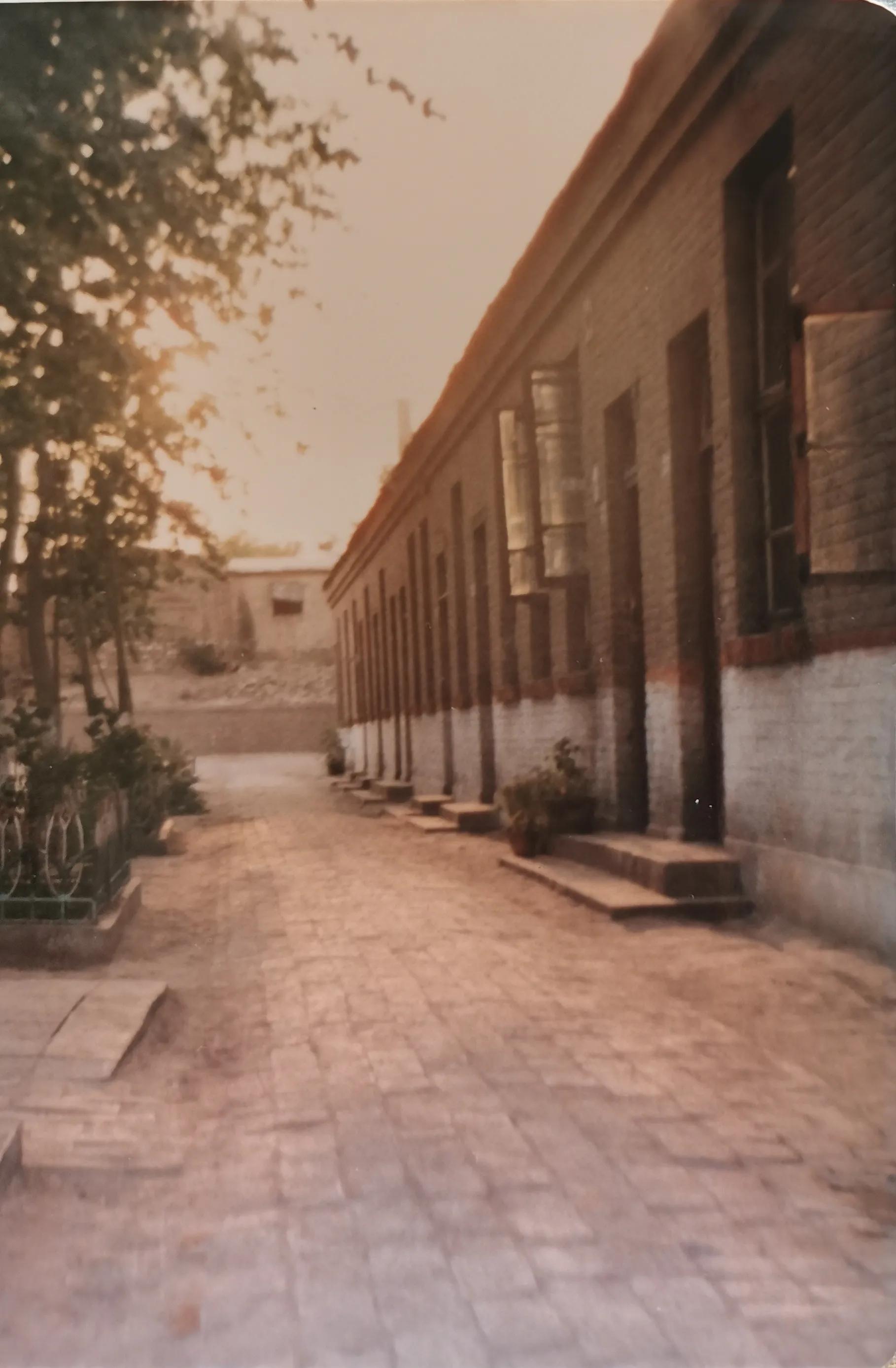 保定五中我的家,我的五中