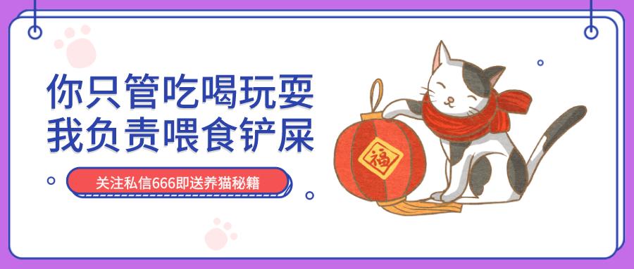 猫咪发情了怎么办？做好这几点，你也是个专业的铲屎官