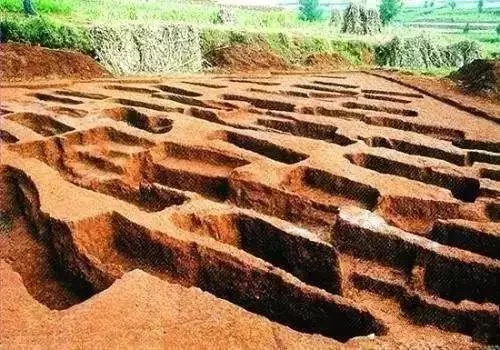 宇宙未解之谜外星文明蜥蜴人,世界上有蜥蜴人真实存在吗