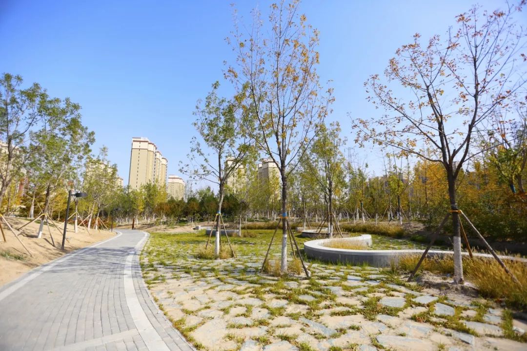 海淀新公园,西三旗公园