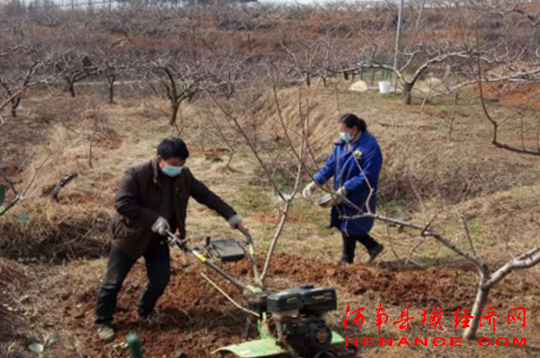 桃园里欢声笑语,桃园深处音质