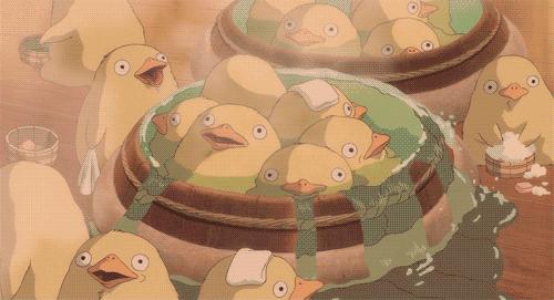 森波拉度假森林酒店,原始森林里的酒店