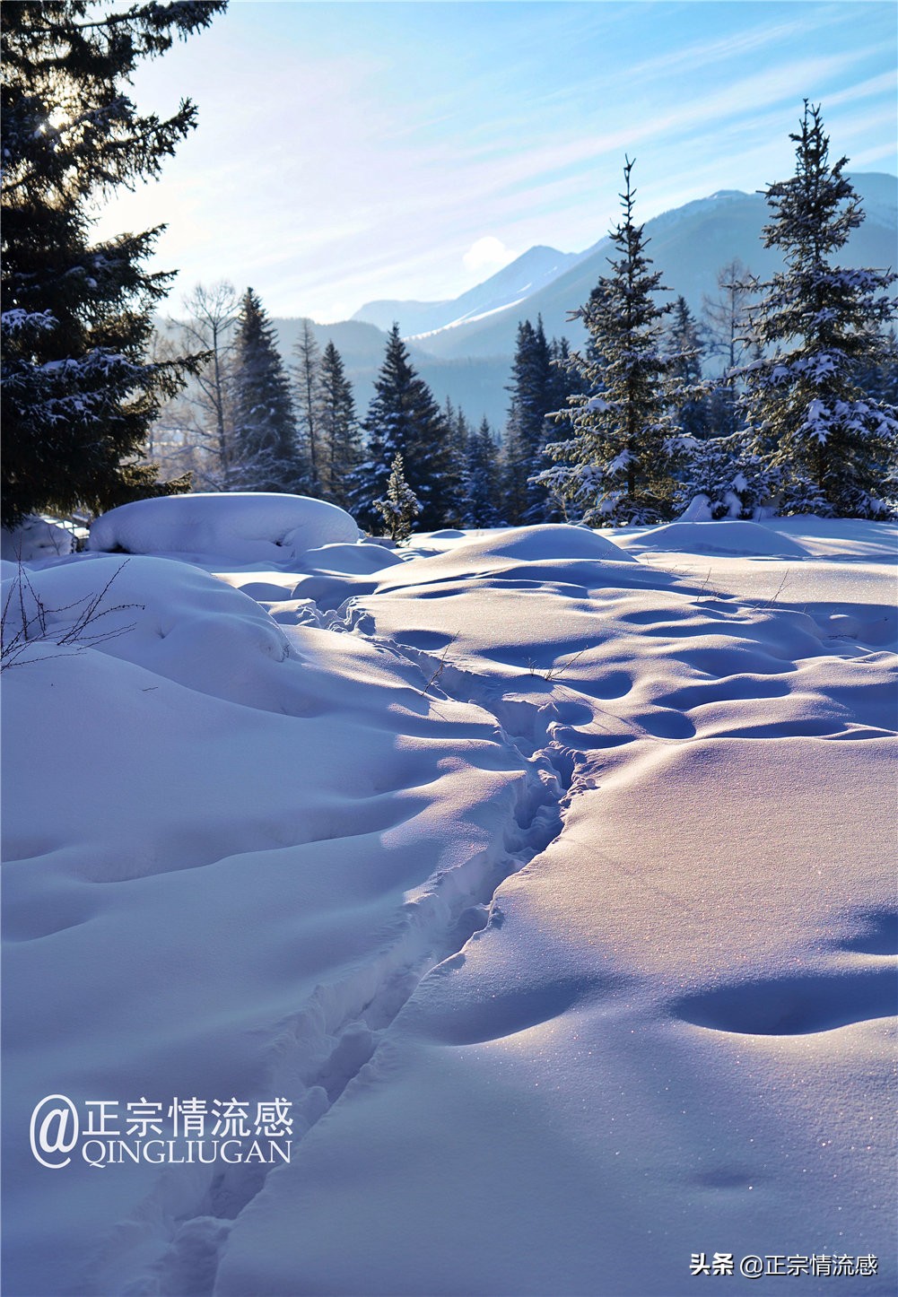 诗与远方：冬游喀纳斯