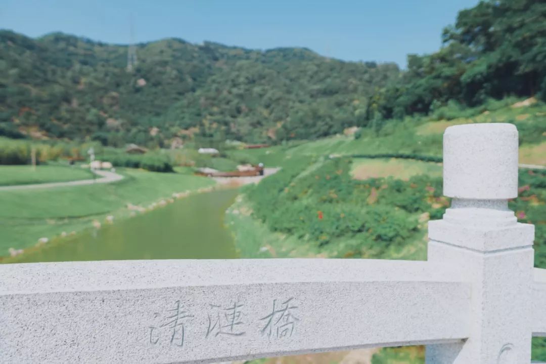 人少还免门票！深圳这片5000000㎡新公园美翻了，“神仙花谷”