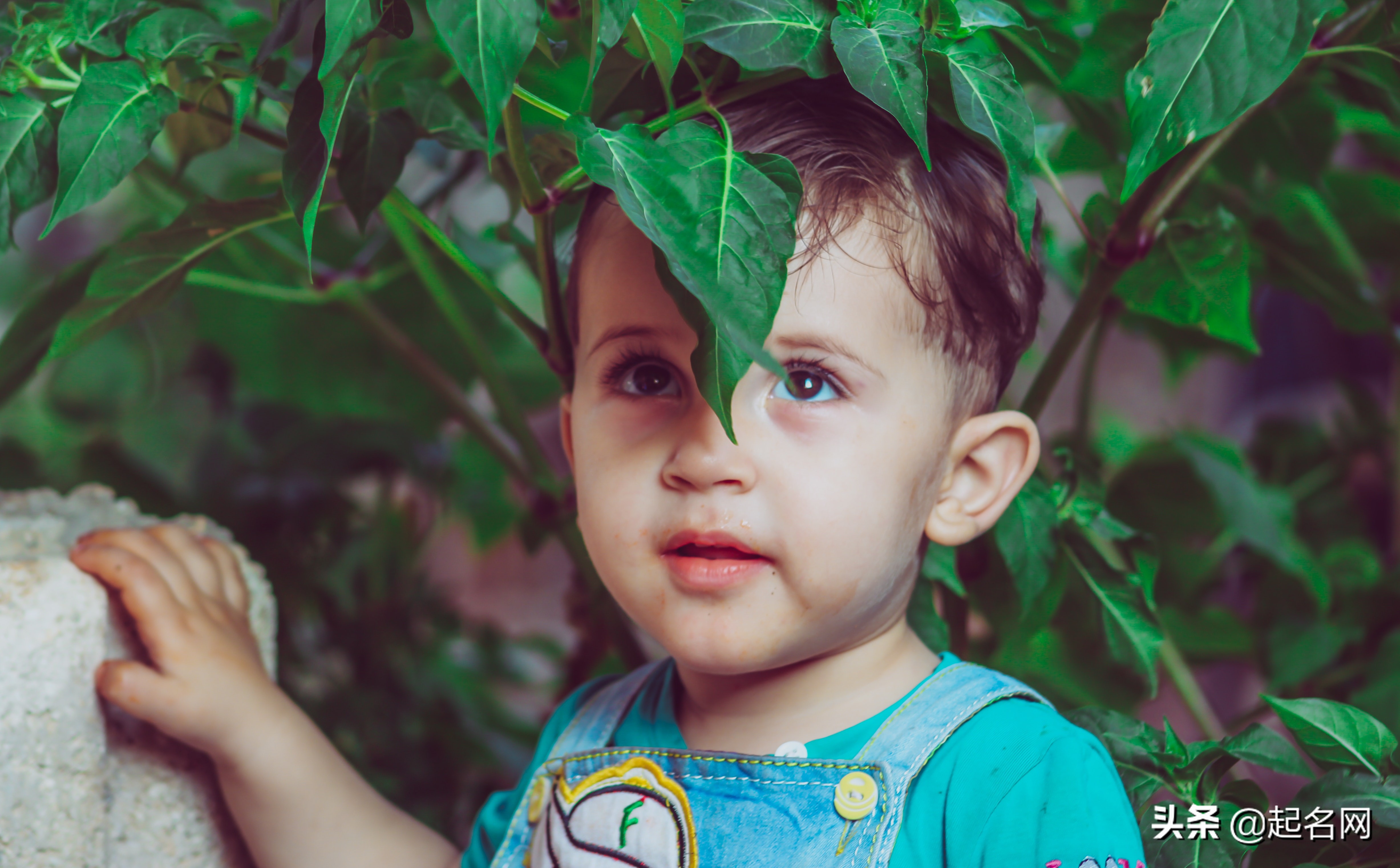 清秀气质男,大气儒雅男孩名