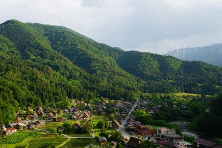名古屋岐阜,名古屋岐阜樱花