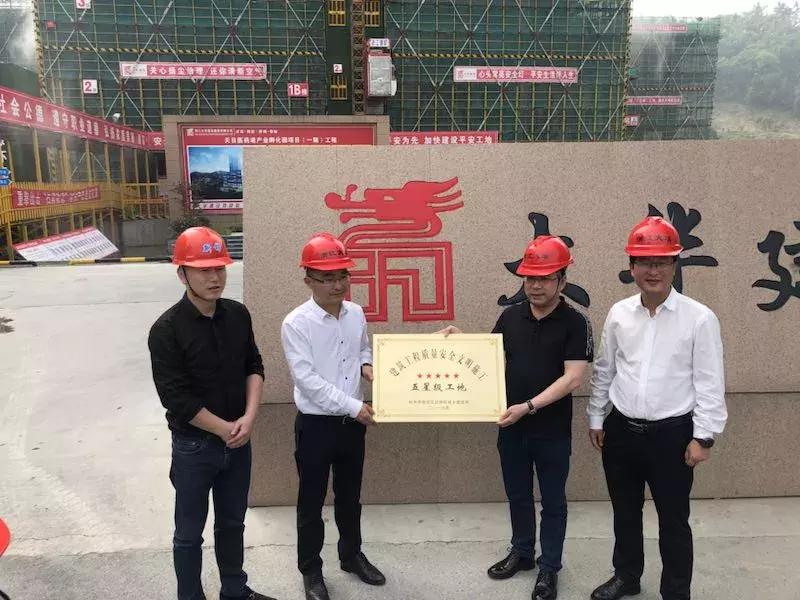 临安新开工的大项目,杭州临安工地最新消息