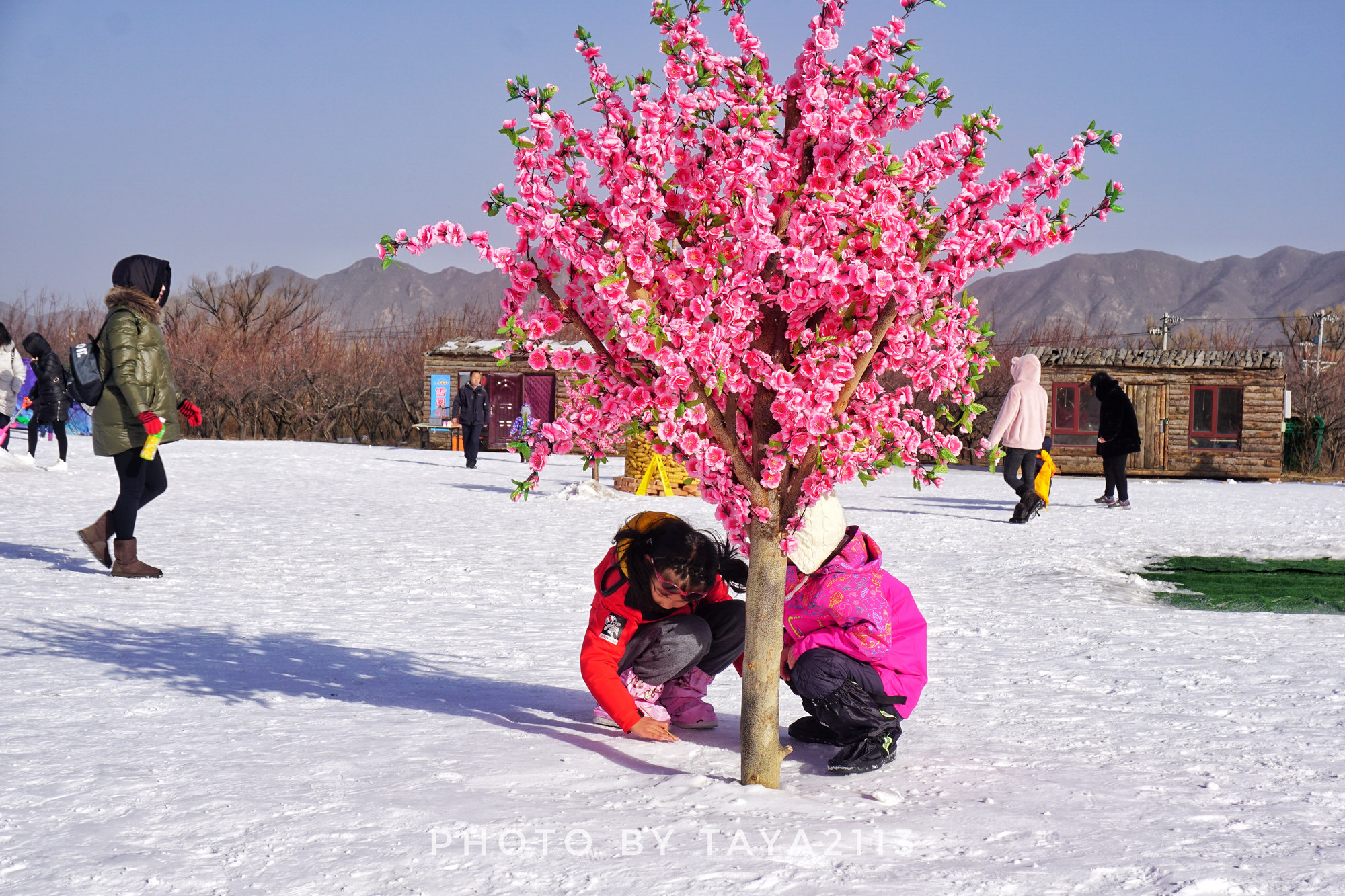 北京延庆:吃完土菜再玩个土掉渣的柳沟嘉年华——妞儿嬉游记