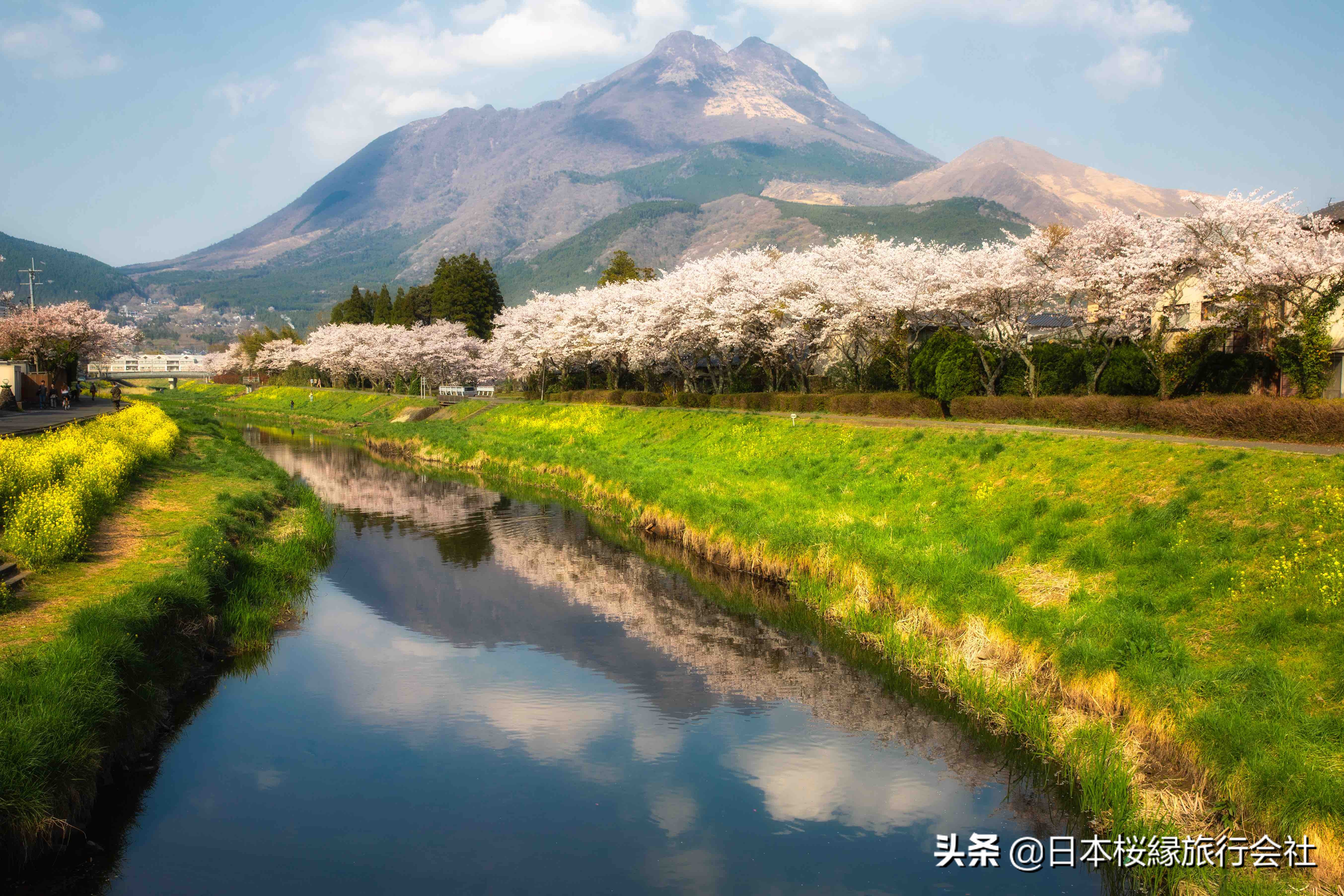 日本温泉之旅完整视频,日本温泉之旅第二季