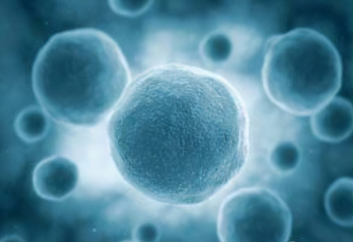 脸上的斑一直去不掉是怎么回事,脸上的色斑一直不消怎么办