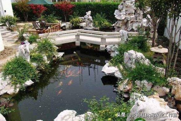 鱼树栽屋前好还是屋后好,阳宅不宜栽什么树