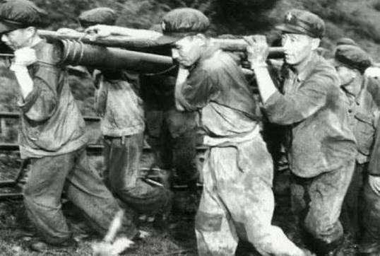 共和国的守护者，普及下我军番号代号中的基本知识