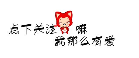 秃头边牧照片,黑眼圈秃头边牧