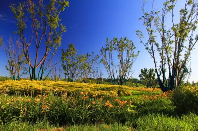 北京房山团建踏青地点推荐,北京房山春季旅游最佳去处