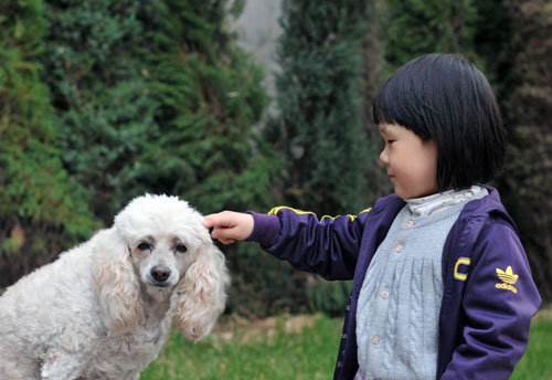 孩子背诗总是记不住怎么办,小孩背诗快速记忆技巧