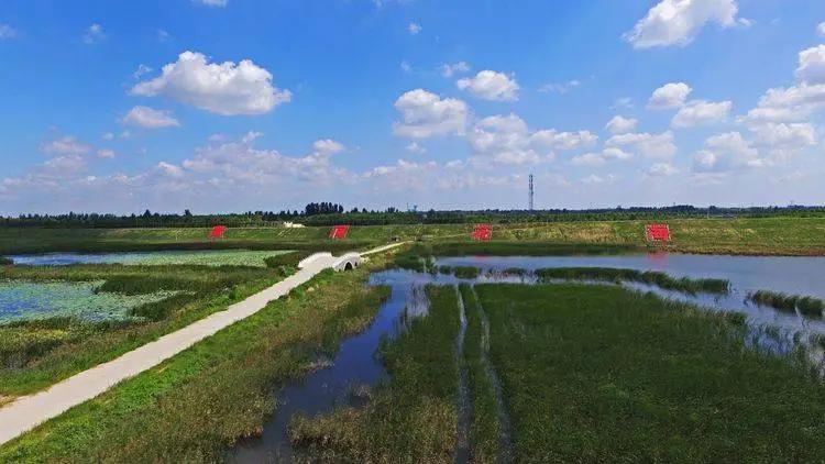 郭立泉诗,郭立泉的作品都有哪些