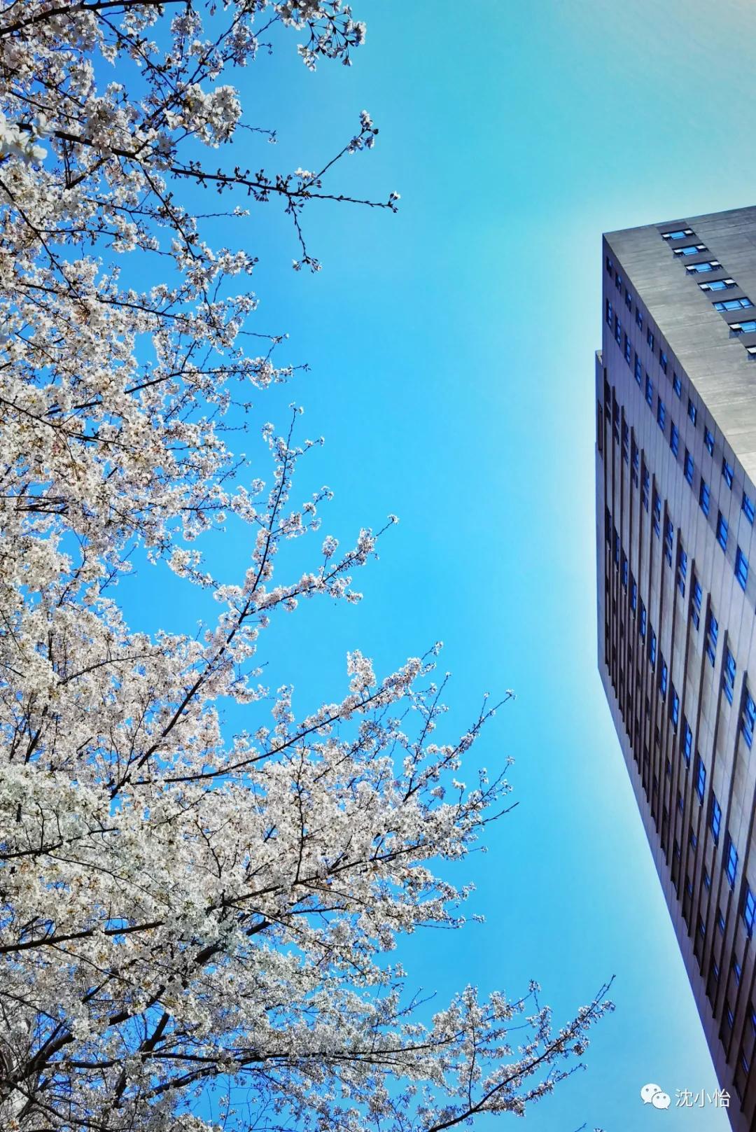 第二次距离死亡那么近,是一种什么样的体验?