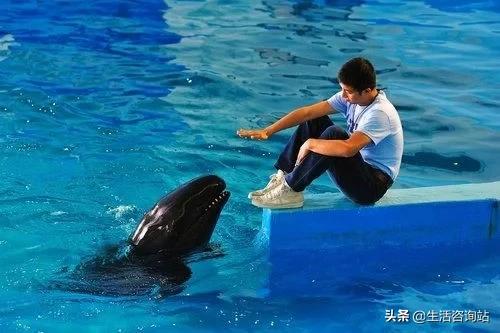 男生必学的四条撩妹潜规则,男人必学的100个套路