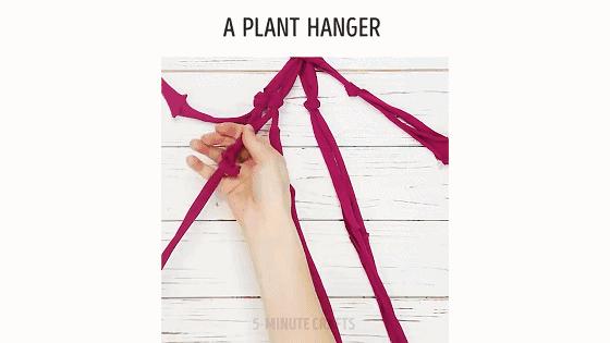 水培蔬菜家庭阳台种菜超简单,不用土在家种菜简单方法