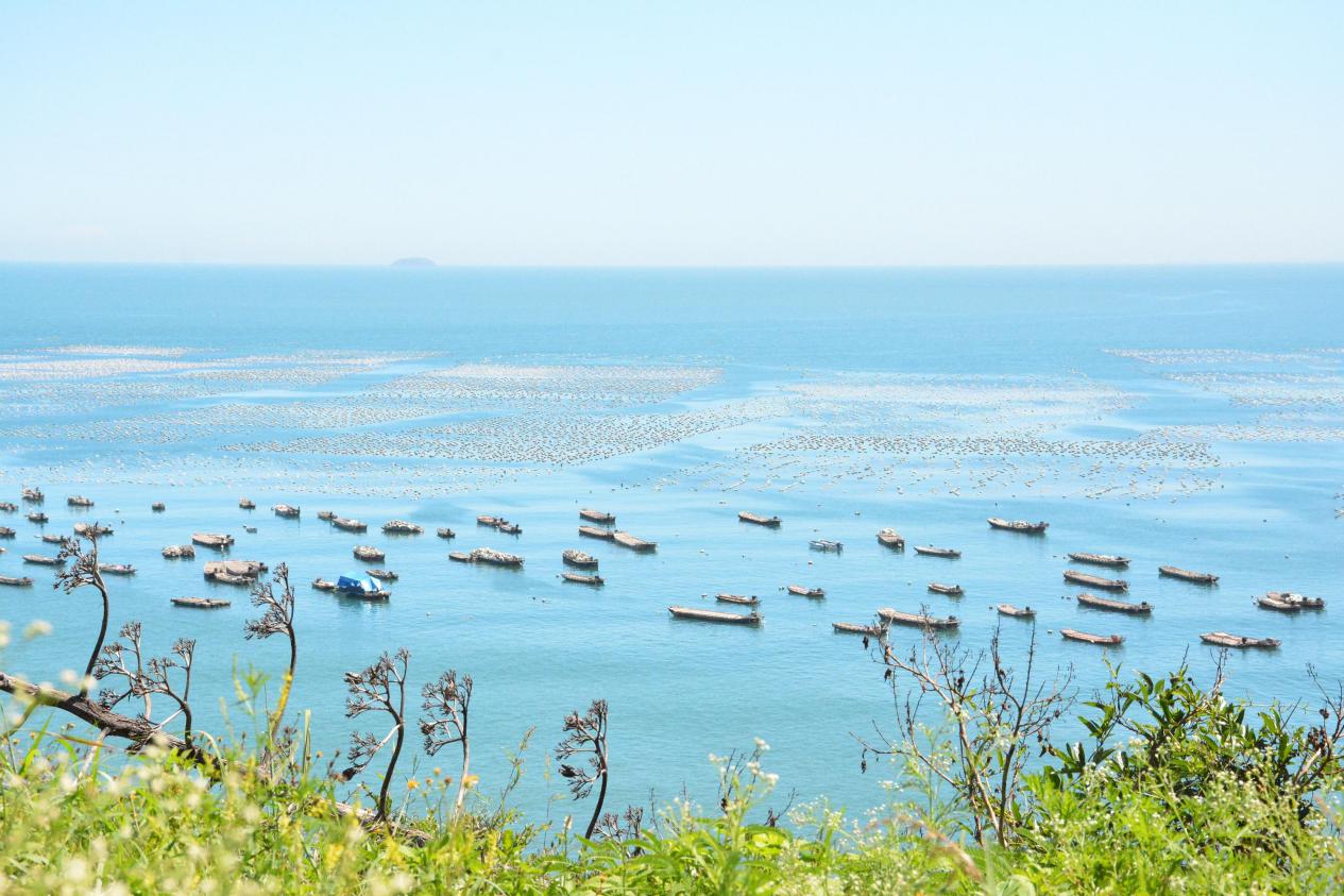 南京避开人流的小众旅游点,国内小众旅游地推荐