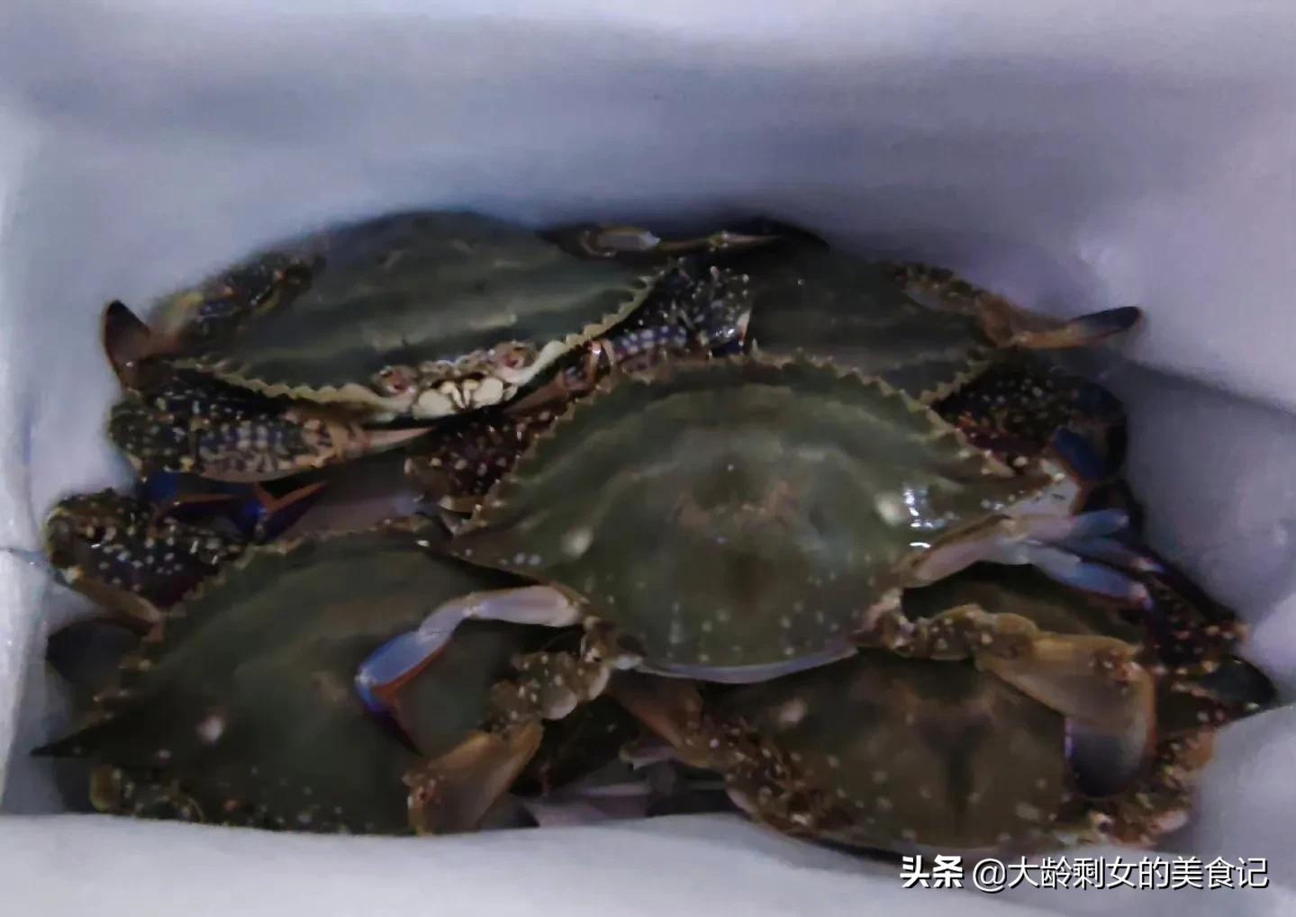 挑梭子蟹技巧干货,教你一招挑肥梭子蟹