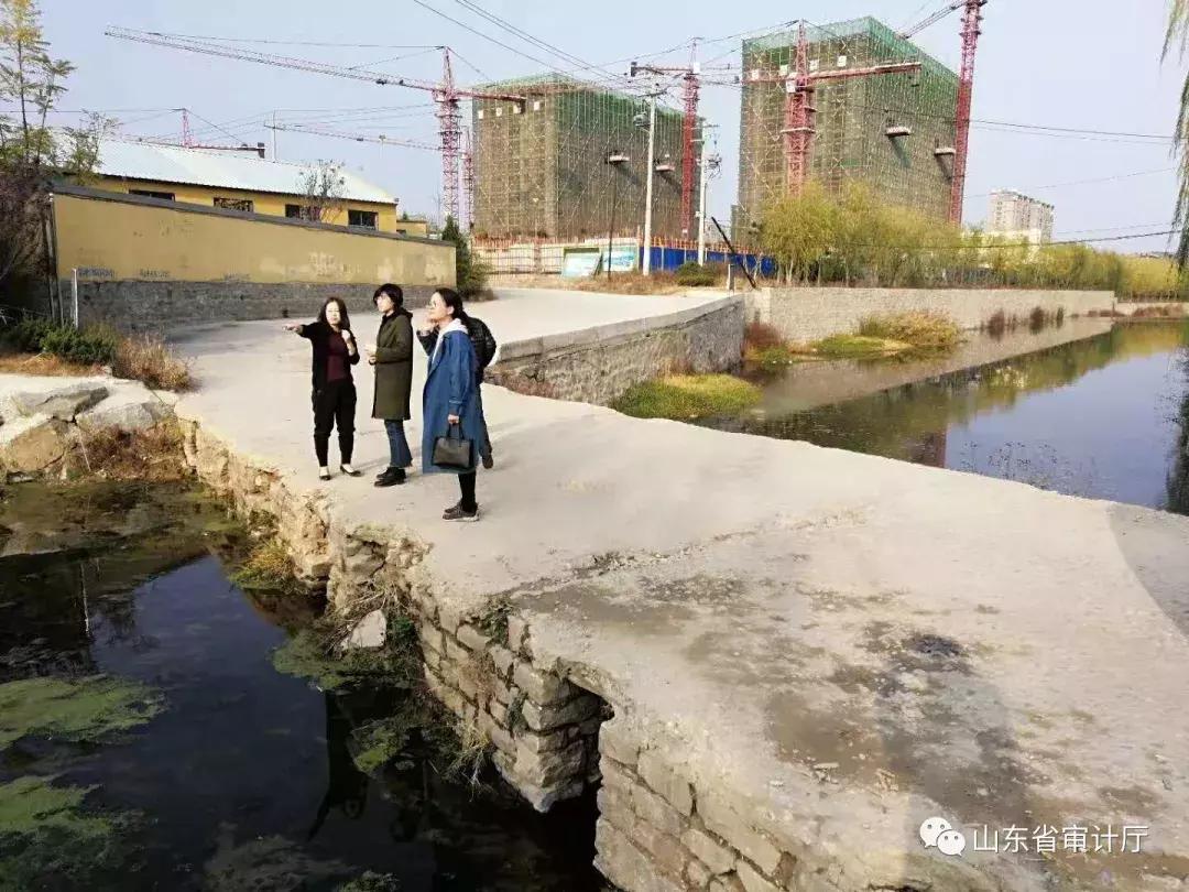 这一年收获颇丰,这一年收获了太多的温暖与感动