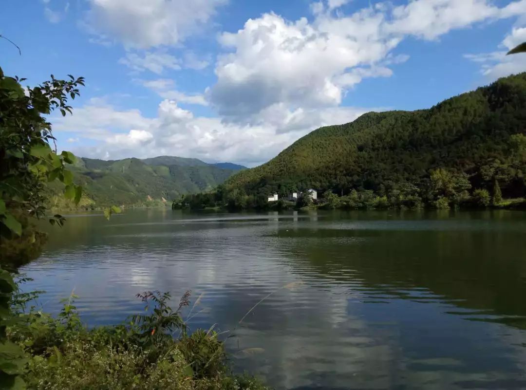 原本在我国泛滥成灾的水葫芦,曾经泛滥的水葫芦现在怎么样