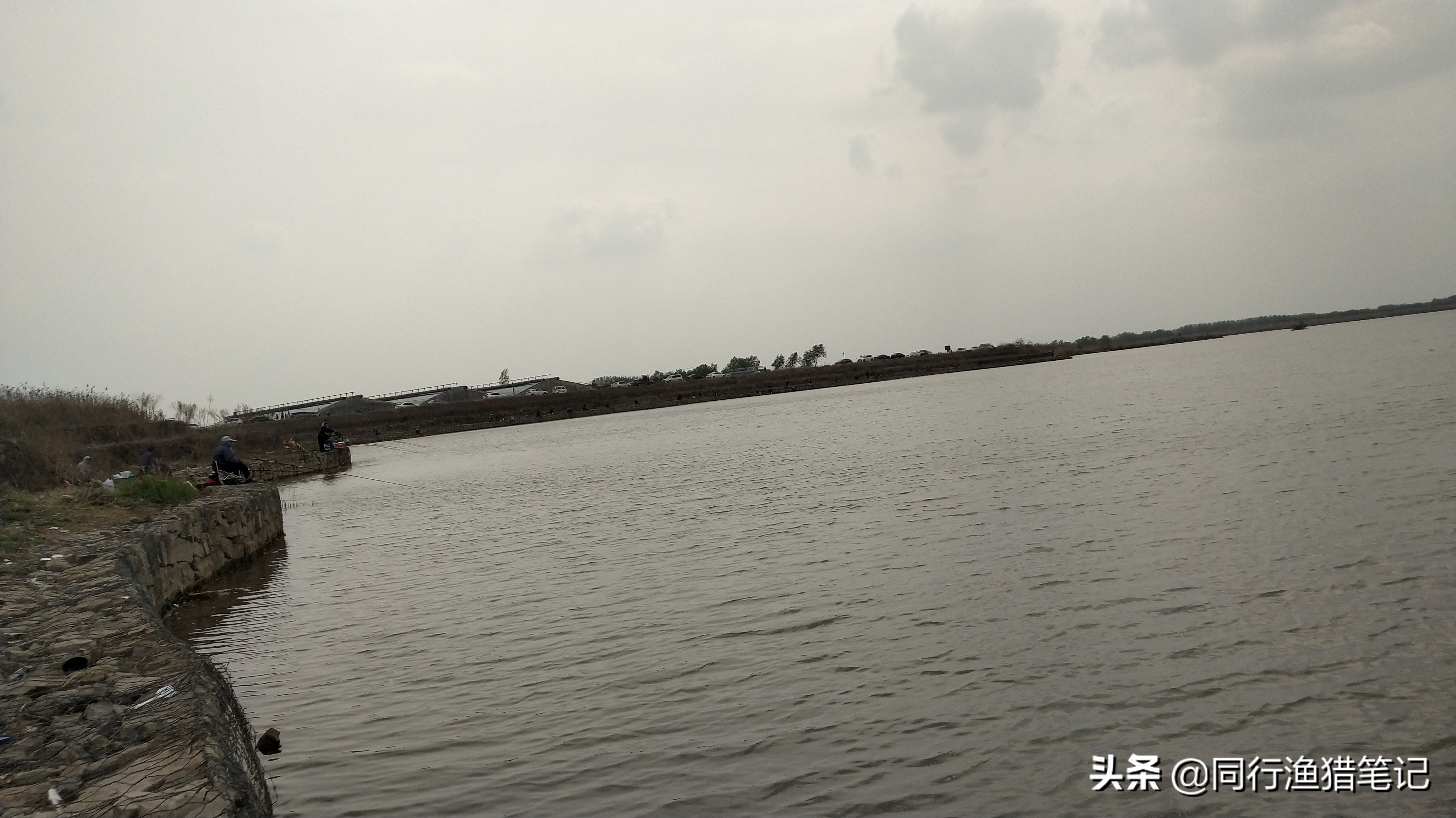 自制结实的鱼竿大鱼小鱼都能钓,如何用自制鱼竿钓鱼钓上大鱼