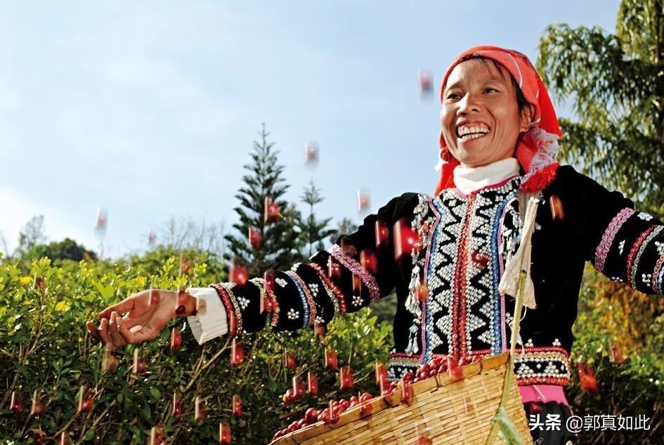 喝了这么多年的普洱,喝了这么多年茶