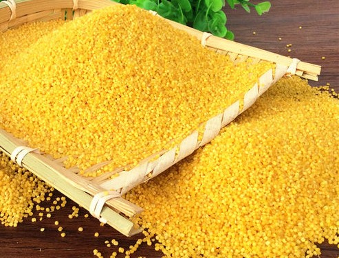 贡米就是紫米吗,贡米是大米吗