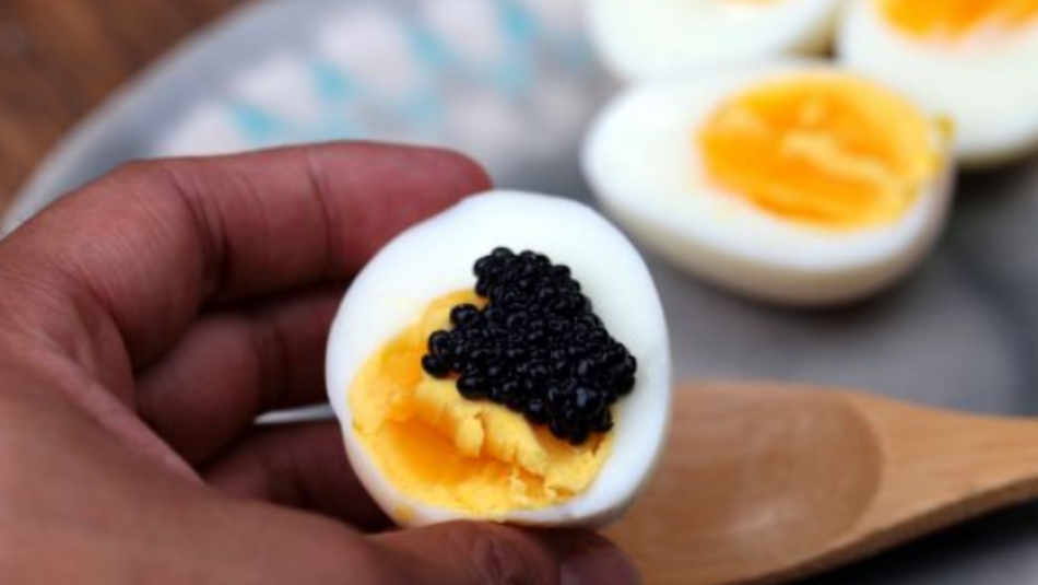 浜虹墿楗涔犳儻,浜虹墿椋庢櫙缇庨鎬庝箞瀹夋帓