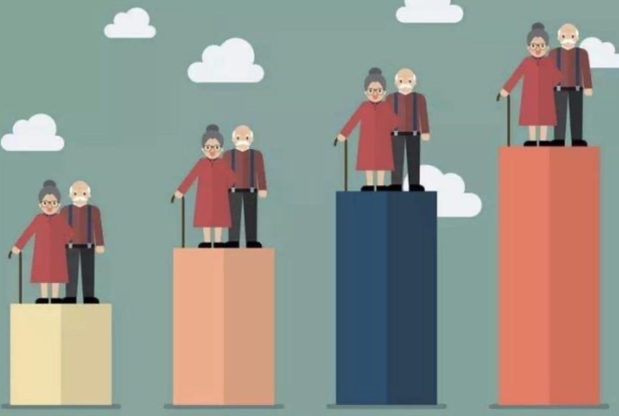 催生无用后专家提新建议,催生无果的后果