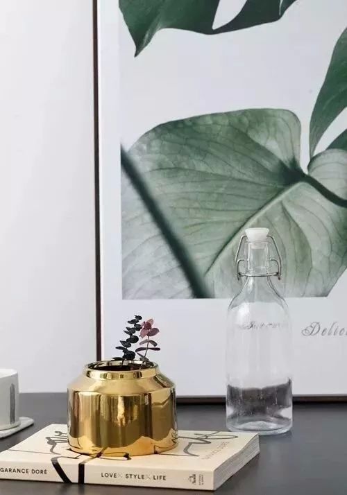 她用这种高颜值的干花装饰家里,隔壁邻居都惊叹不已