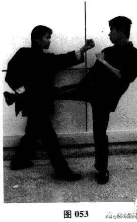 咏春八手招式完整版,咏春八手林正英完整版