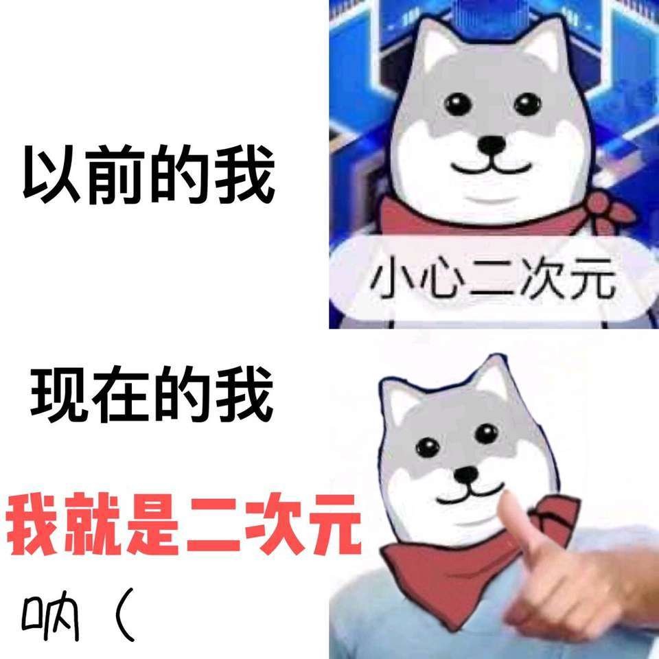 什么才叫做二次元,有人问什么是二次元