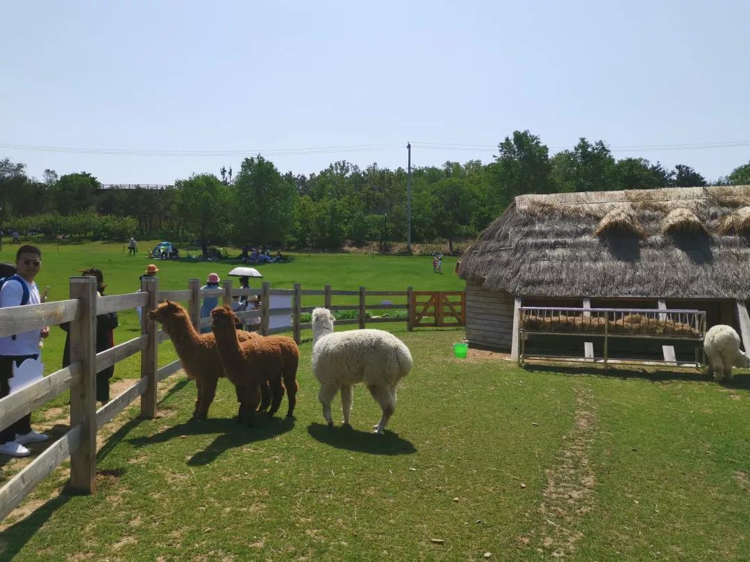 大连旅游攻略精致景点推荐,大连必去的打卡景点
