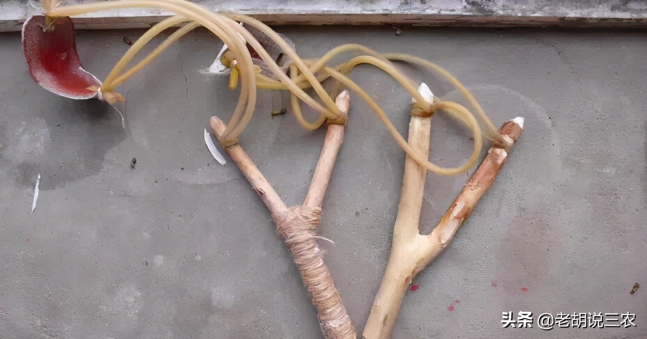 16年前老照片22岁的回忆,40年前的童年回忆视频合集大全