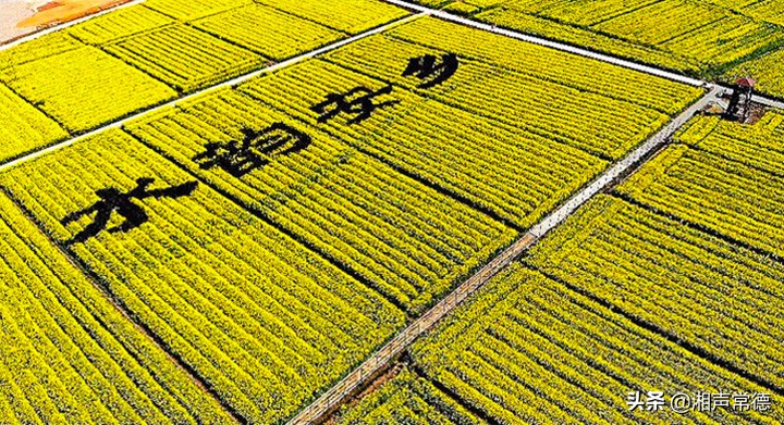 书写春联迎新春笔墨浓情送祝福,书写新篇章春联