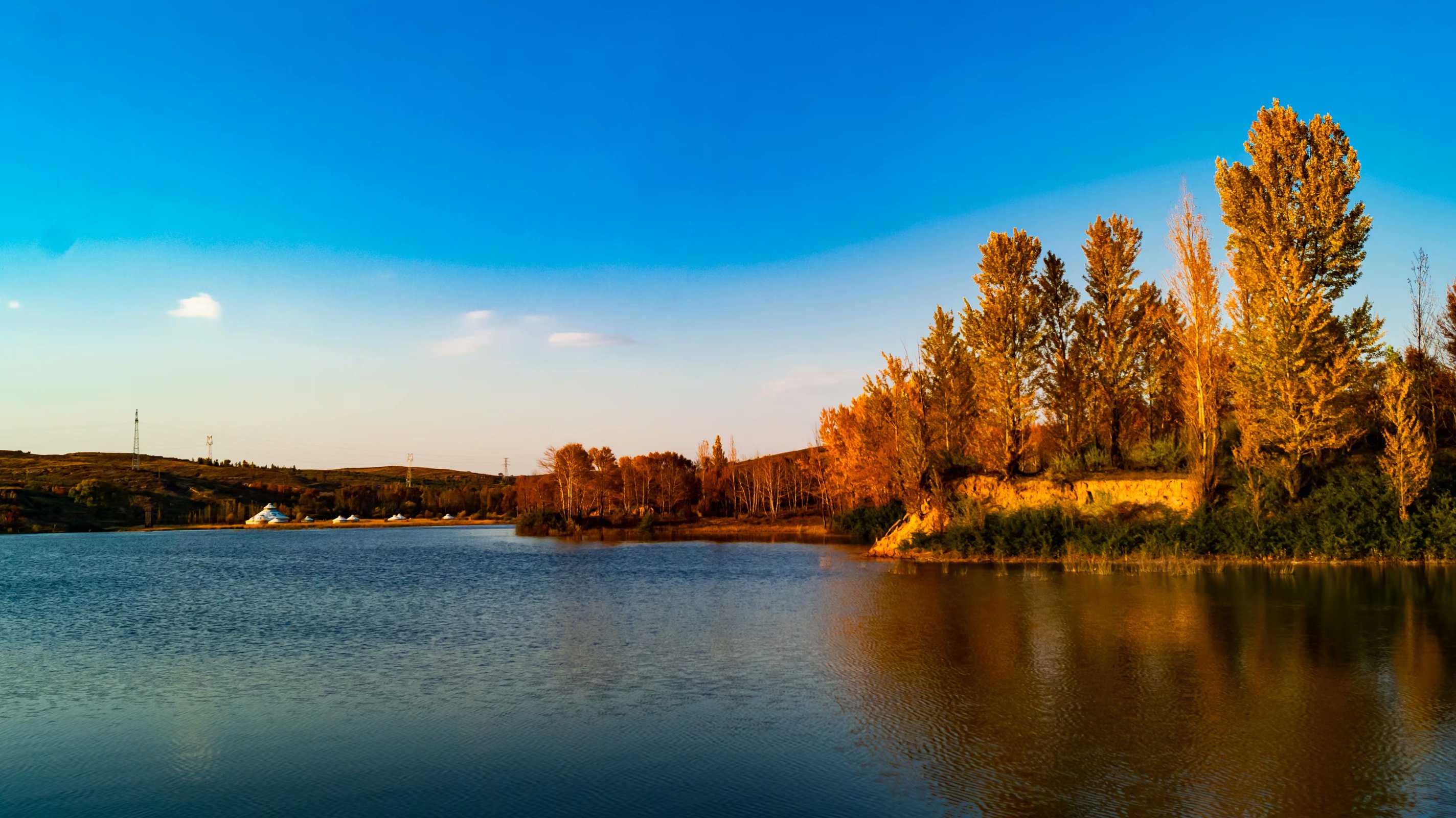 广东哪个大学心理学专业好,211师范心理学专业