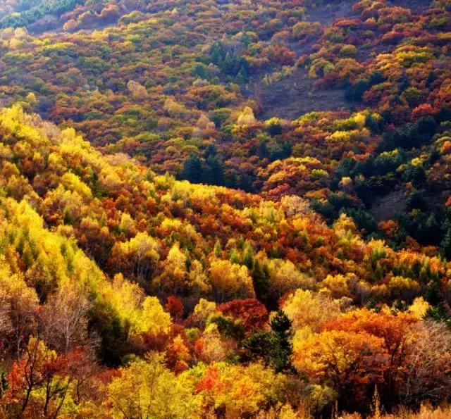 河北最牛的1个城市,承包了大半个中国的美