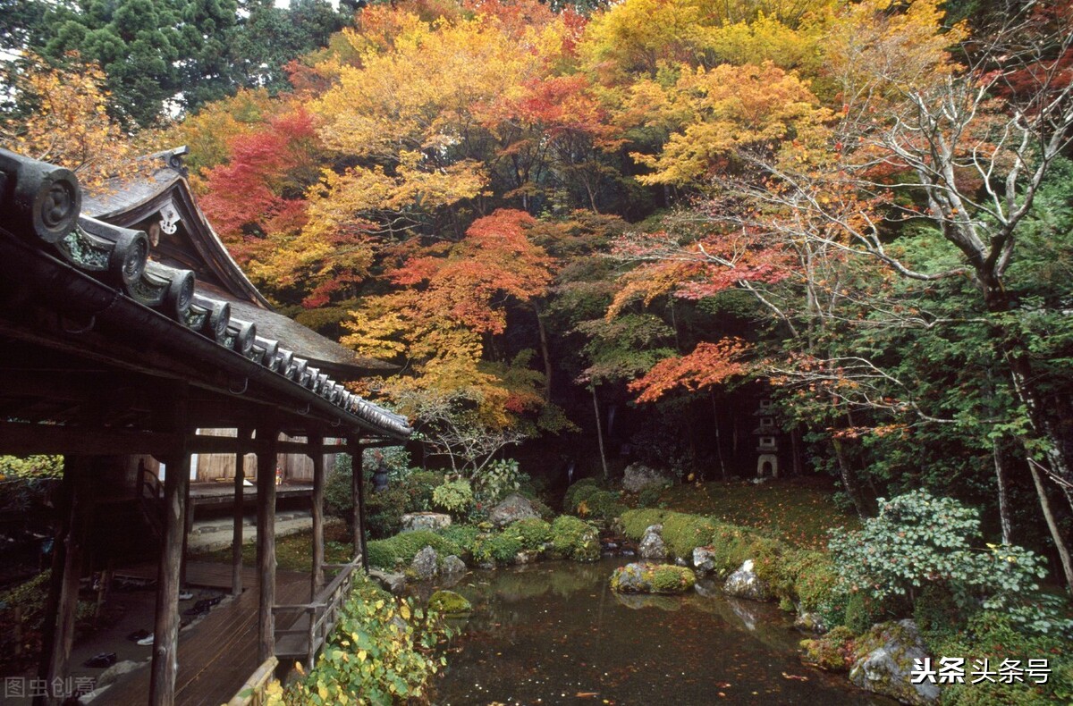 白露节气常识知多少,白露节气有什么习俗